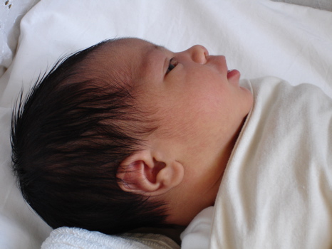 Profile 24 Sept.jpg